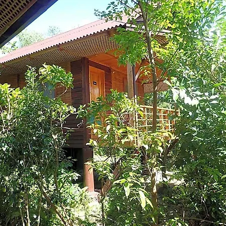 Eskapo Verde Lodge Moalboal
