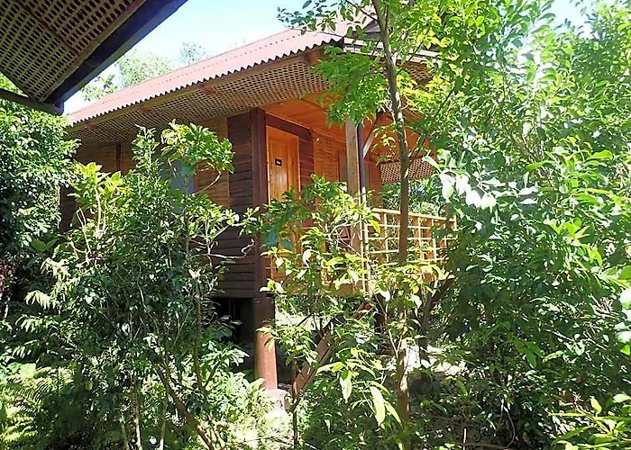 Eskapo Moalboal Hotel Badian