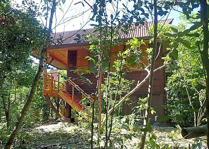 Eskapo Moalboal